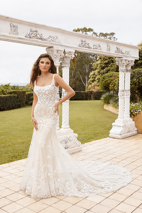 Brittany-Sophia Tolli Y12232