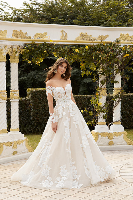 Elodie-Sophia Tolli Y12235