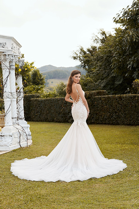 Dakota-Sophia Tolli Y12236