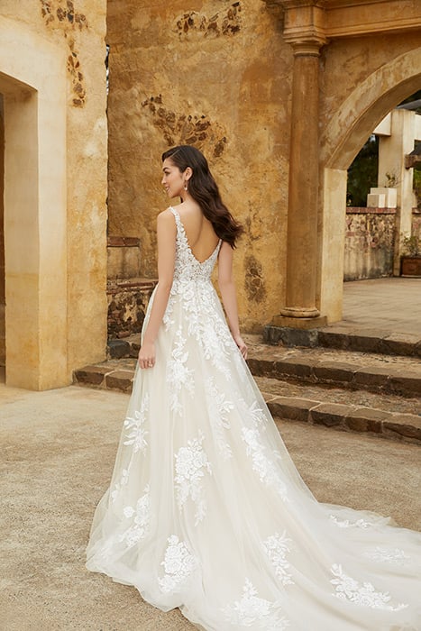 Liliana-Sophia Tolli Y12241