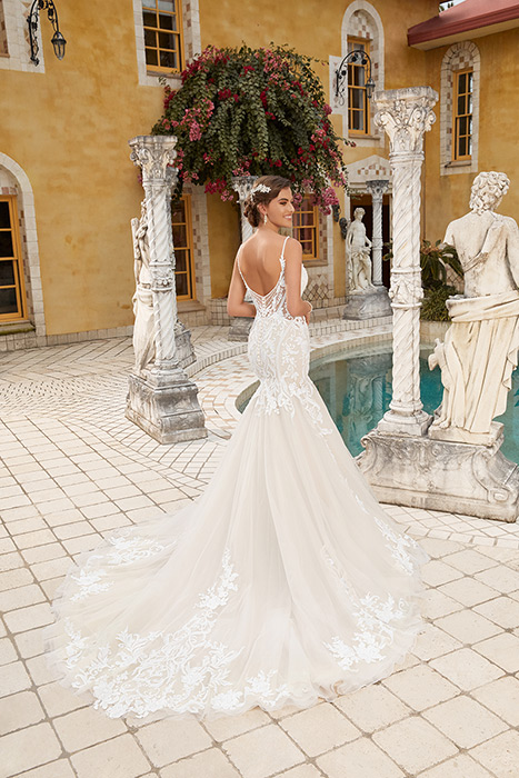 Kendall-Veil Only Y12242VEIL