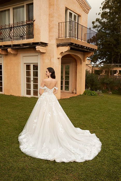 Rebekah-Sophia Tolli Y12248