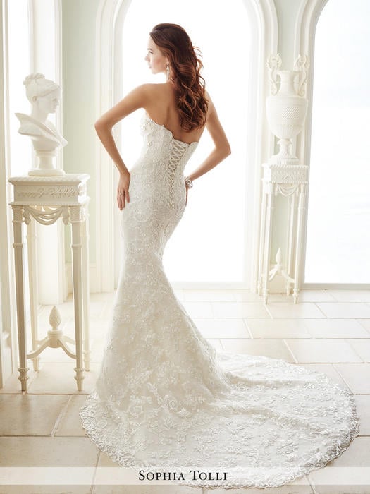 Milano-Sophia Tolli Y21671ZB