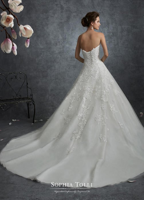 Orion-Sophia Tolli Y21750