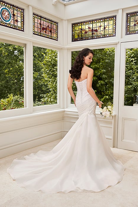 Janelle-Sophia Tolli Y21987