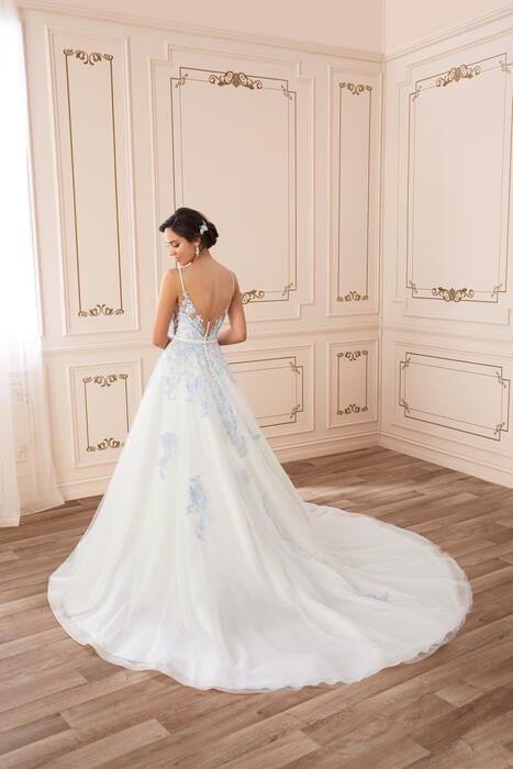 Aurora-Sophia Tolli Y22041