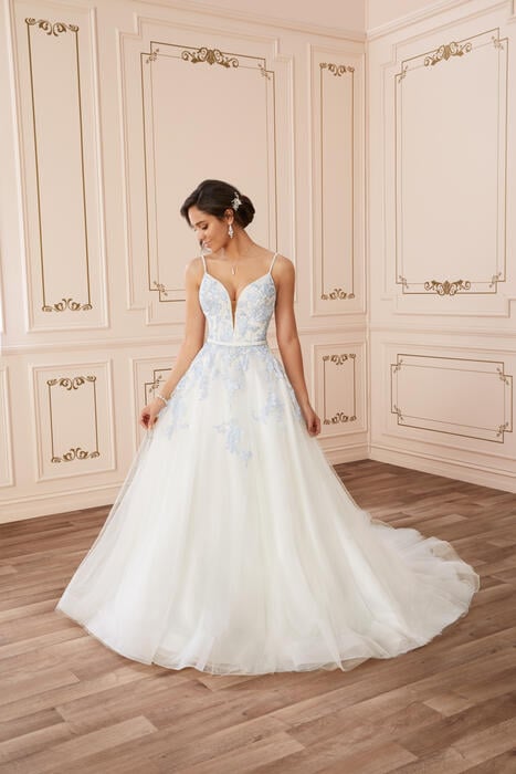 Aurora-Sophia Tolli Y22041