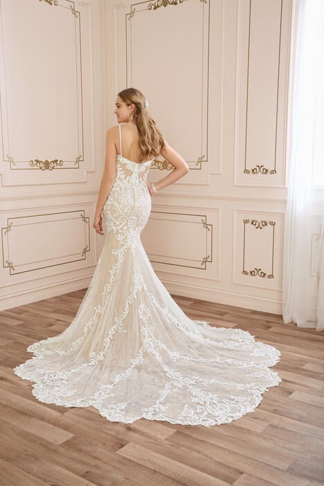 Tamara-Sophia Tolli Y22042