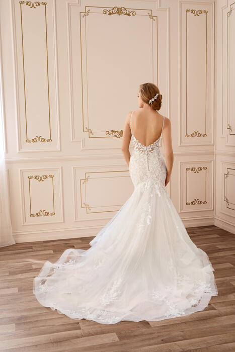 Skylar-Sophia Tolli Y22046