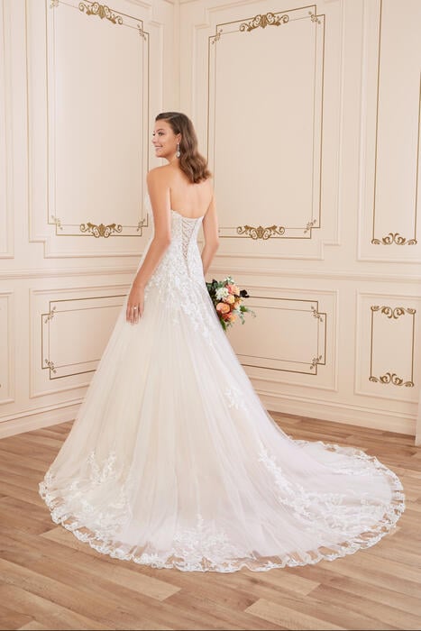 Montana-Sophia Tolli Y22047