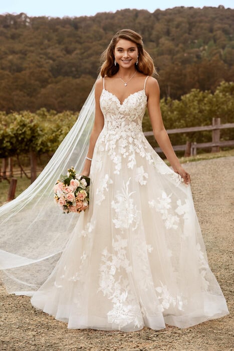 Nikita-Sophia Tolli Y22051