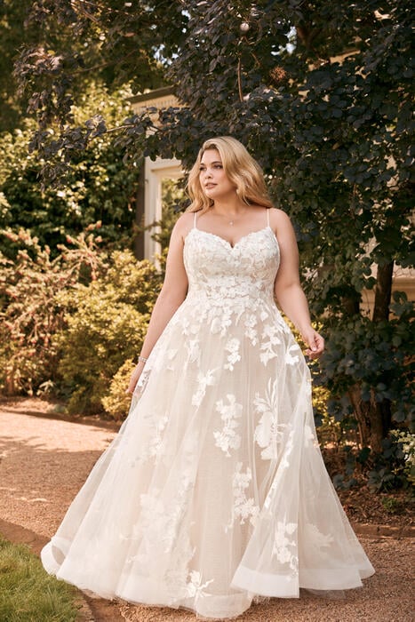 Nikita-Sophia Tolli Y22051