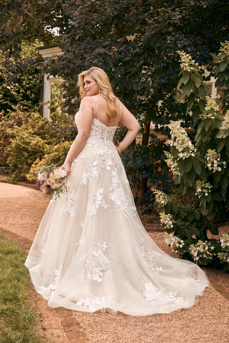 Nikita-Sophia Tolli Y22051