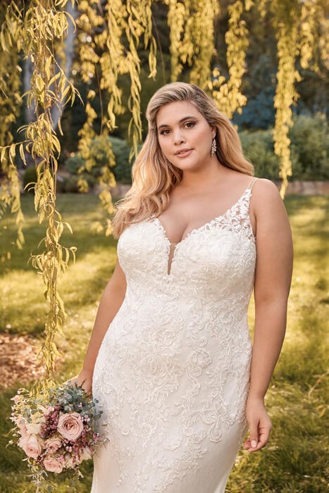 Mischa-Sophia Tolli Y22053HB