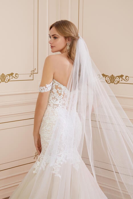 London-Sophia Tolli Y22065