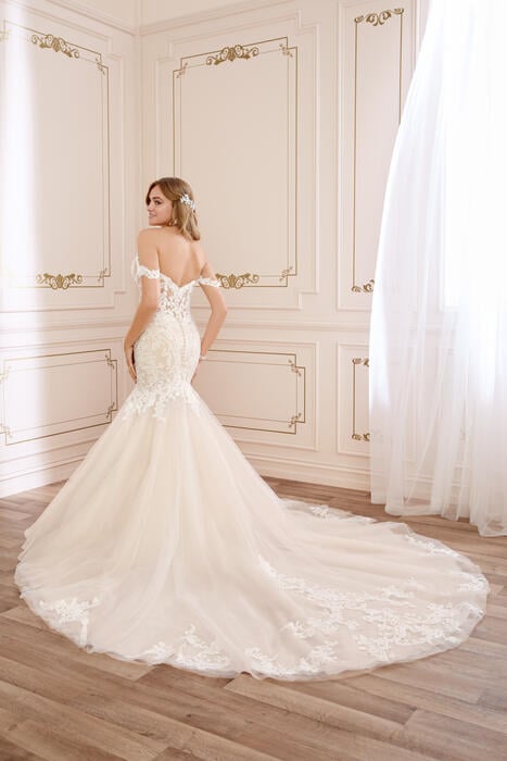 London-Sophia Tolli Y22065