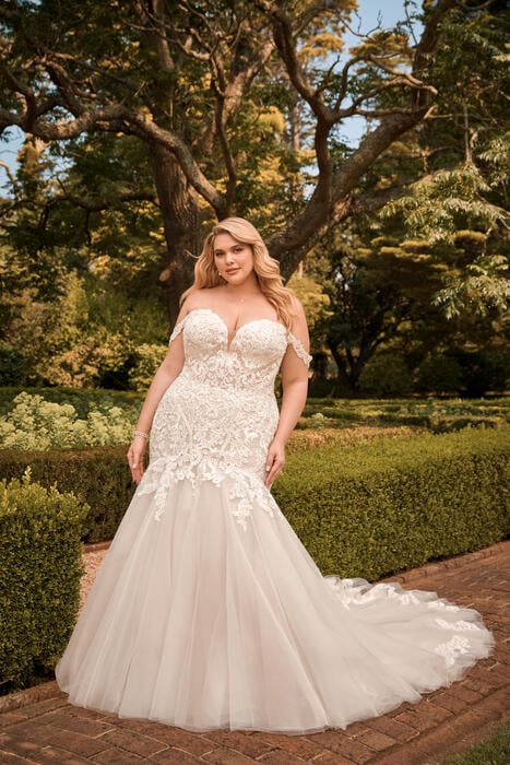 London-Sophia Tolli Y22065