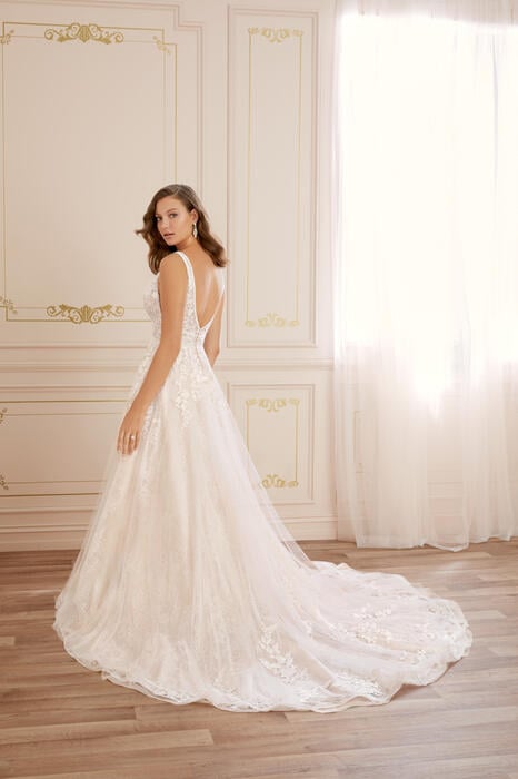 Annika-Sophia Tolli Y22066