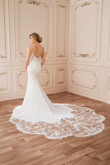 Celestina-Sophia Tolli Y22067