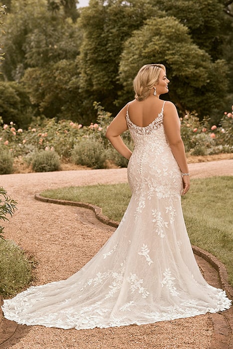 Valentina-Sophia Tolli Y22171