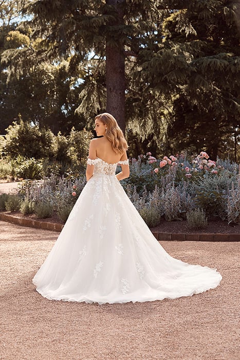 Reverie-Sophia Tolli Y22177