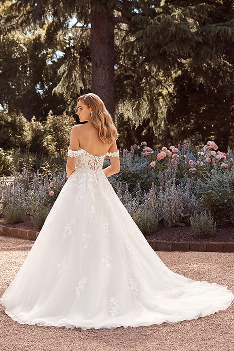 Reverie-Sophia Tolli Y22177