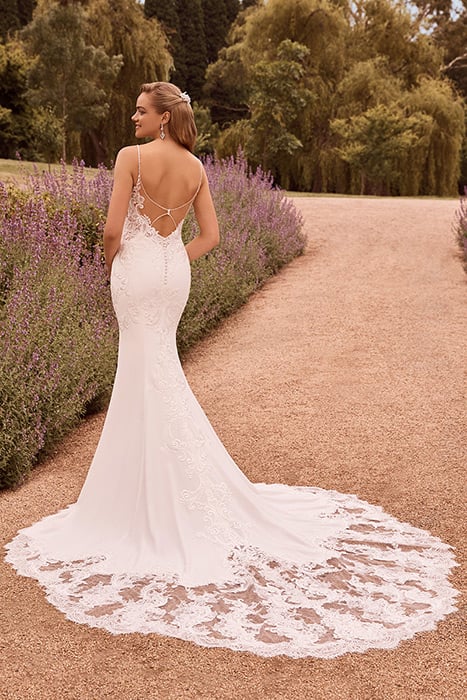 Monique-Sophia Tolli Y22179