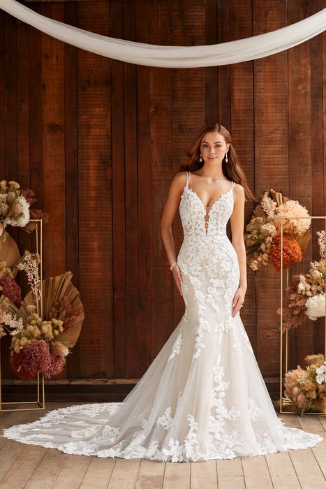 Kaylee-Sophia Tolli Y22264