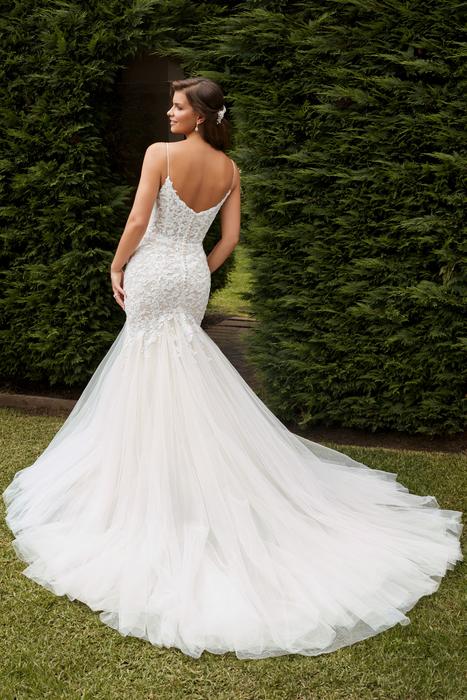 Laurina-Sophia Tolli Y22268