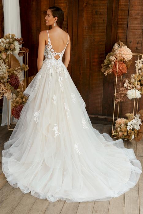 Annalise-Sophia Tolli Y22269