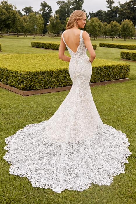 Frankie-Sophia Tolli Y22272HB