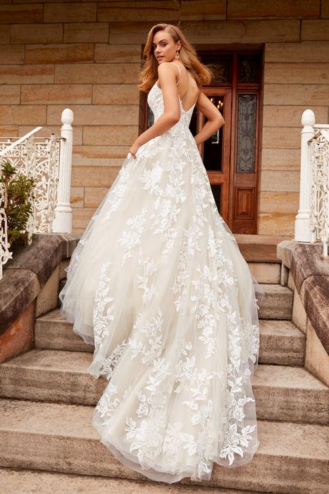 Arabelle-Sophia Tolli Y22273