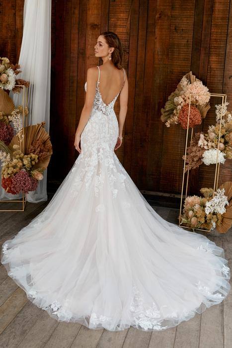 Nadia-Sophia Tolli Y22274