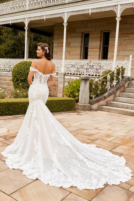 Harley-Sophia Tolli Y22277