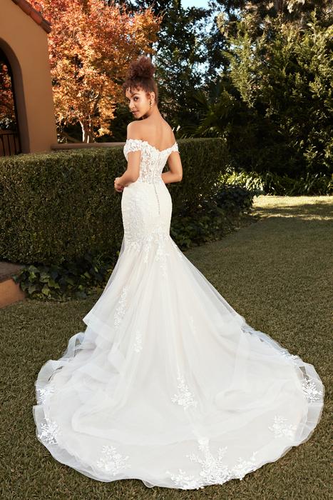 Molly-Sophia Tolli Y3104