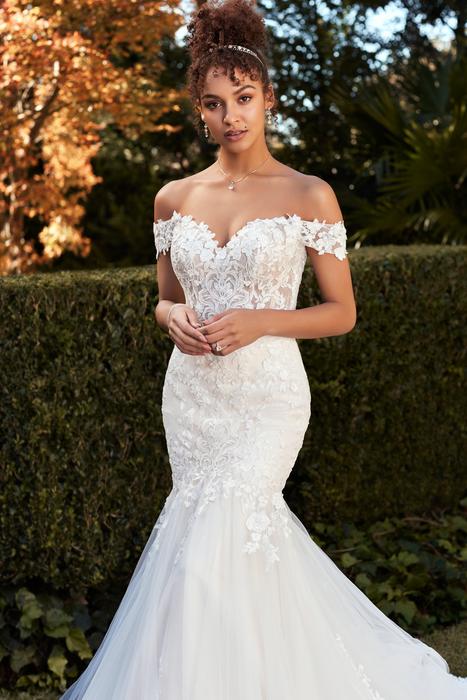 Molly-Sophia Tolli Y3104