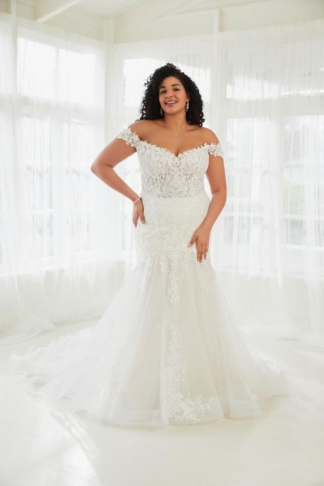 Molly-Sophia Tolli Y3104