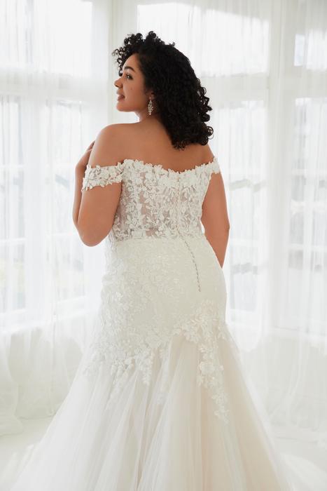 Molly-Sophia Tolli Y3104