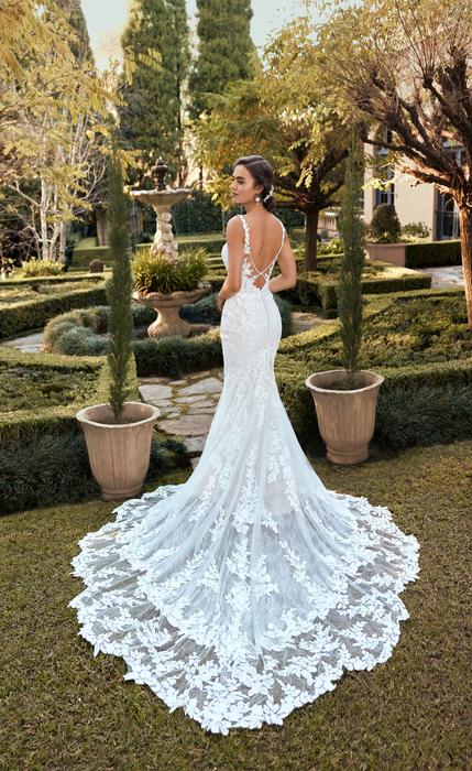 Lara-Sophia Tolli Y3106