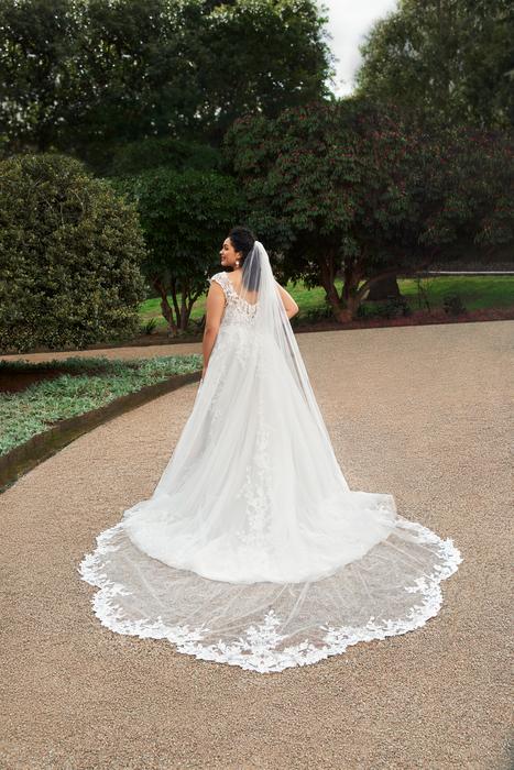 Veil ONLY Y3107VEIL