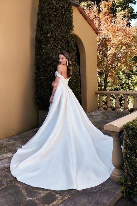 Ansel-Sophia Tolli Y3108