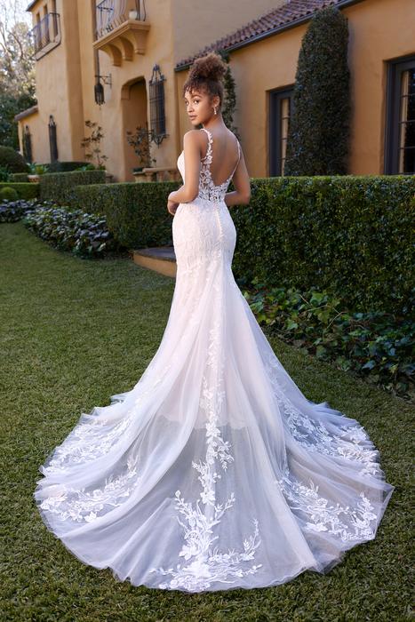 Jackson-Sophia Tolli Y3109