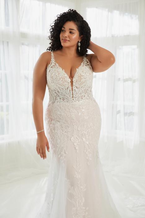 Jackson-Sophia Tolli Y3109