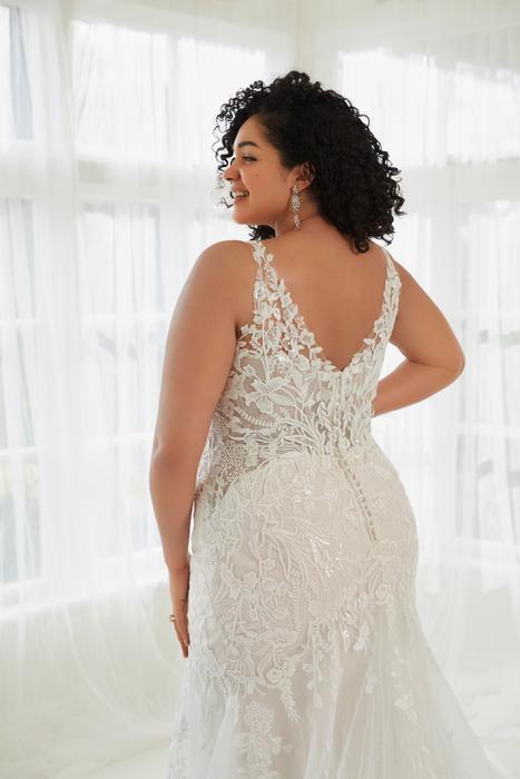 Jackson-Sophia Tolli Y3109