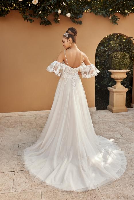 Casia-Sophia Tolli Y3110