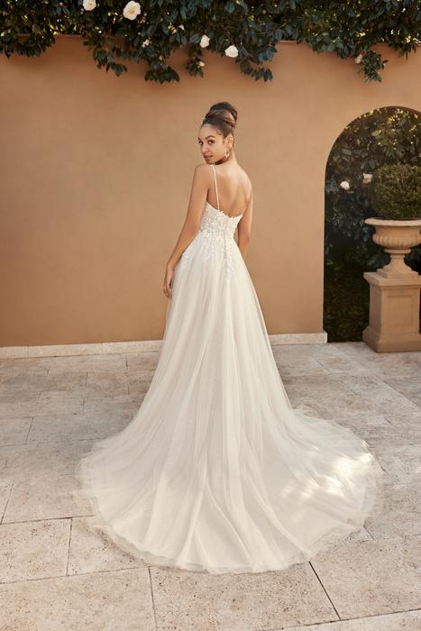 Casia-Sophia Tolli Y3110