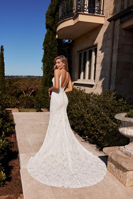 Harvey-Sophia Tolli Y3111