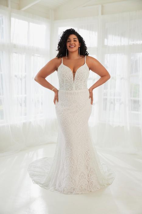 Harvey-Sophia Tolli Y3111HB