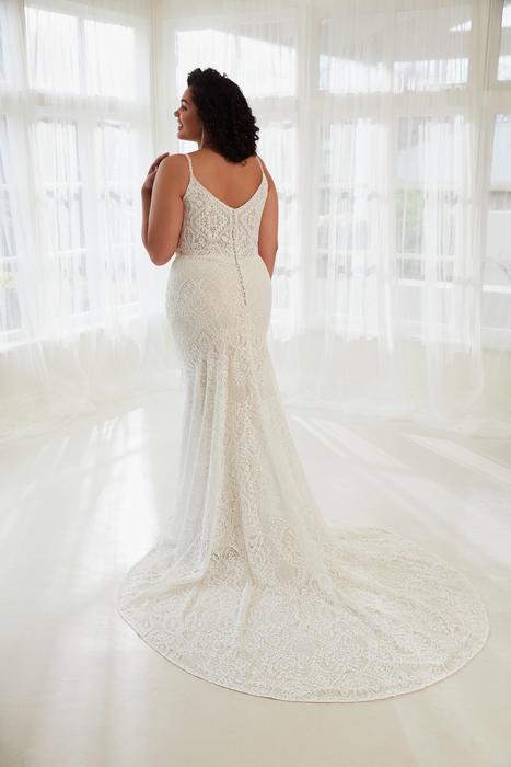 Harvey-Sophia Tolli Y3111