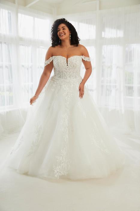 Aisling-Sophia Tolli Y3112